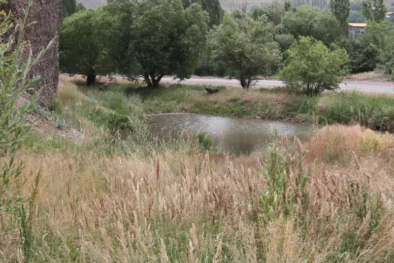 عکاسی مناظر از بهناز شیخانیان