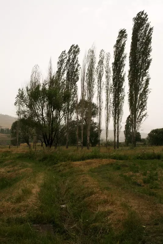 عکاسی مناظر از بهناز شیخانیان