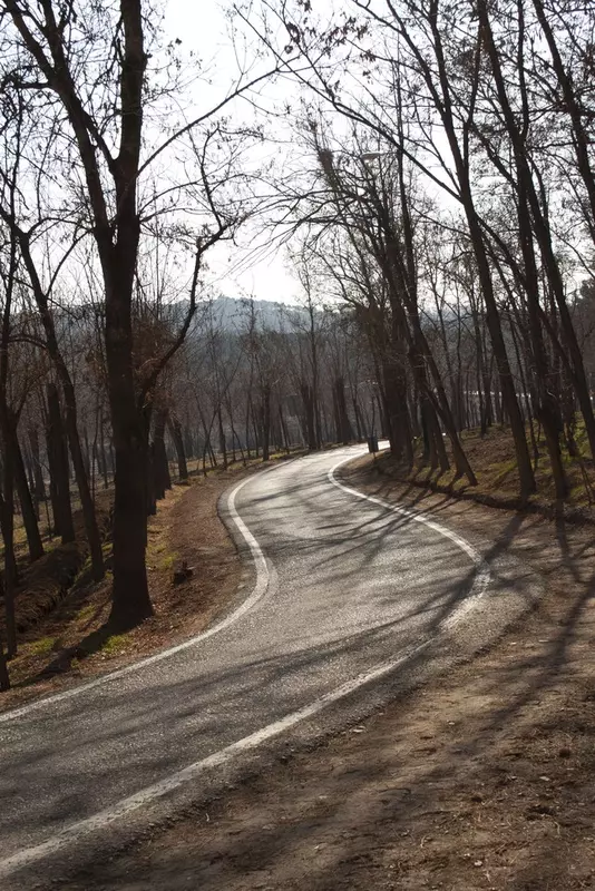 عکاسی مناظر از بهناز شیخانیان