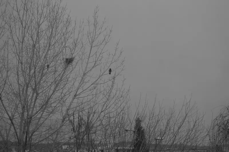 عکاسی مناظر از بهناز شیخانیان