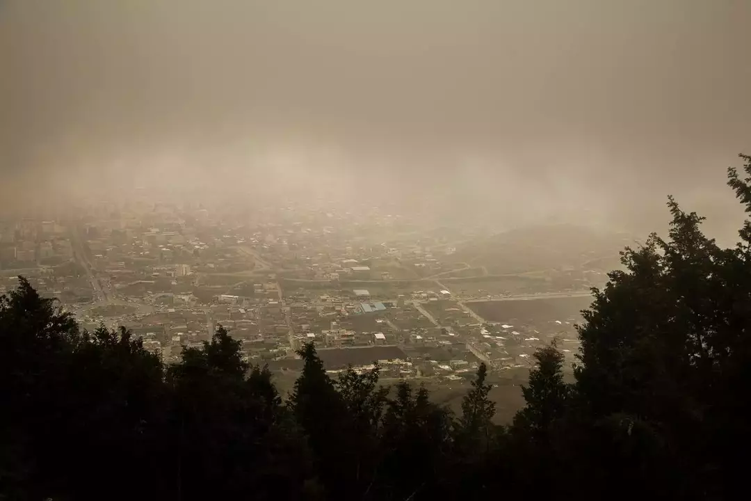 نمونه کار عکاسی فائزه حمیدیا