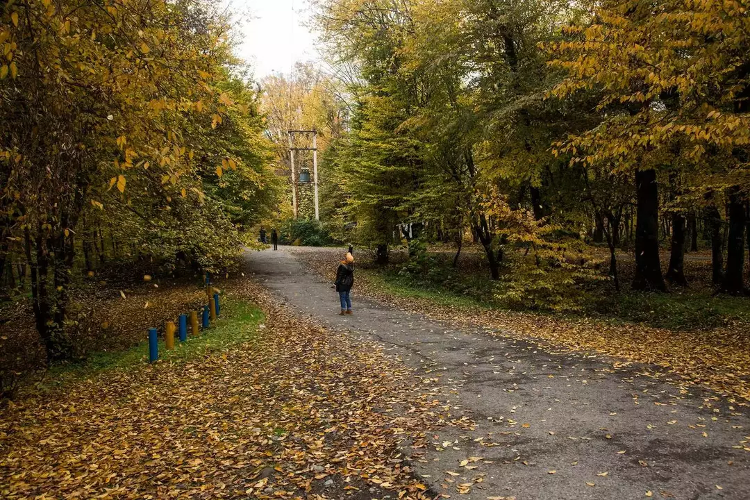 نمونه کار عکاسی فائزه حمیدیا