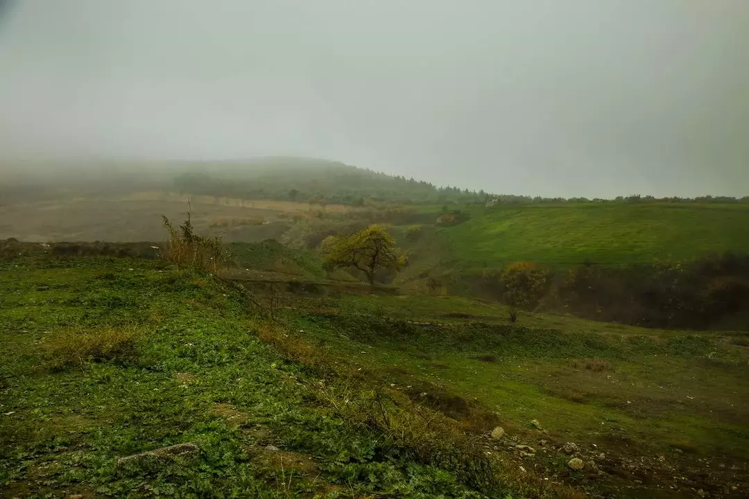 نمونه کار عکاسی فائزه حمیدیا