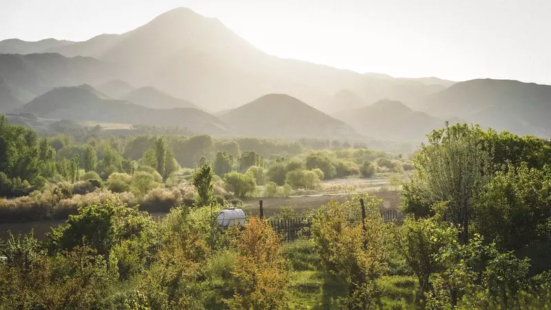 نمونه کار از دانیال علیزاده