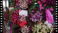 ویدیو نمونه کار از محمدرضا فیض اللهی 