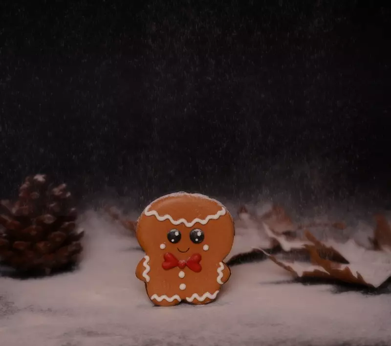 نمونه کار عکاسی مهسا  حورزاد