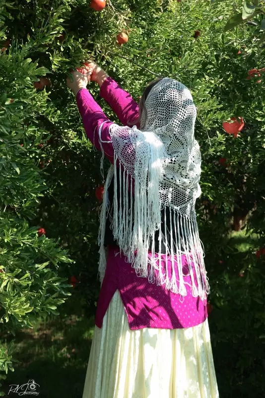 نمونه کار عکاسی غیره توسط نیکجو که در تاریخ 1402-09-19 ** یک‌شنبه  **  ساعت 03:24PM بارگذاری شده است.