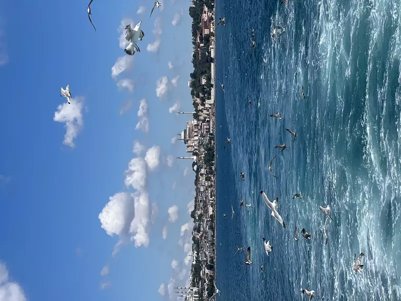 عکاسی مناظر از هانیه  علیاطلب