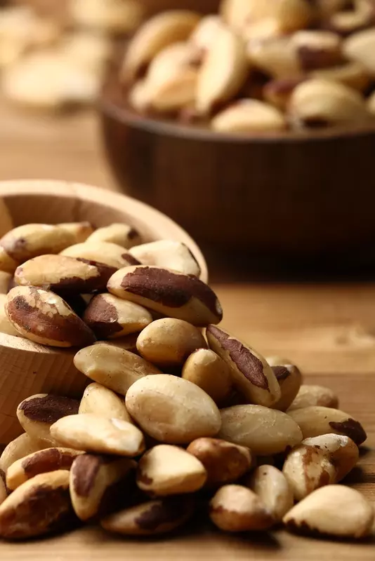 نمونه کار از مهران, بختیاری