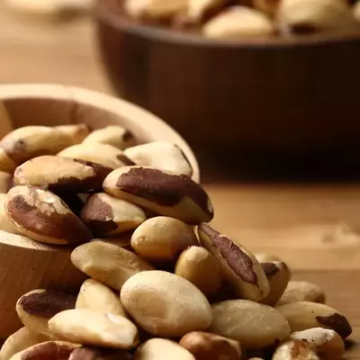 نمونه کار