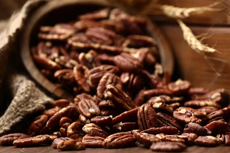 نمونه کار از مهران, بختیاری