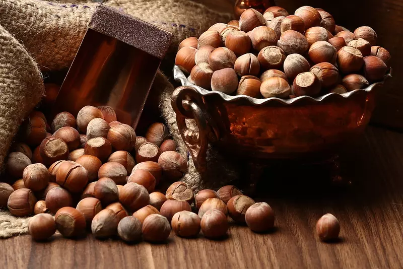 نمونه کار از مهران, بختیاری