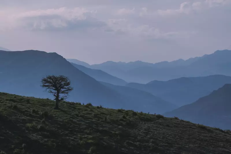 نمونه کار از سیدمحمدجواد  بنی هاشمی