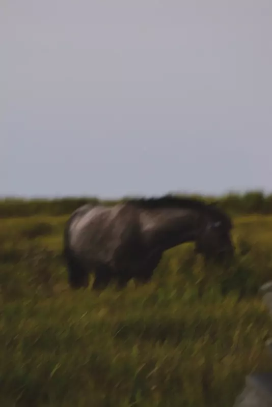 نمونه کار از سیدمحمدجواد  بنی هاشمی