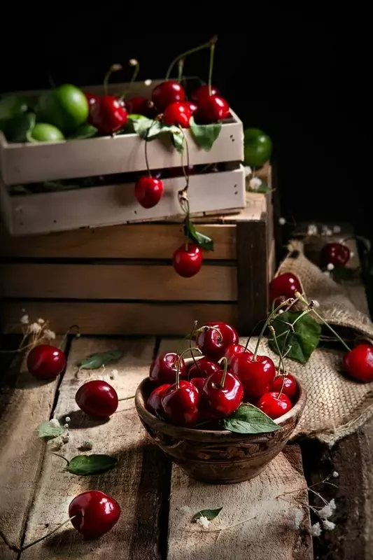 نمونه کار عکاسی زمرد انیسی
