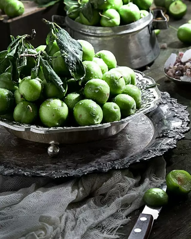 نمونه کار عکاسی زمرد انیسی