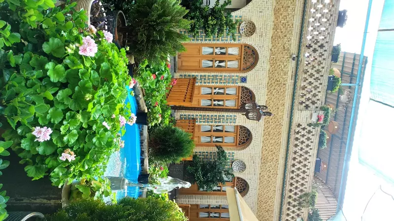 نمونه کار عکاسی حانیه ناصح