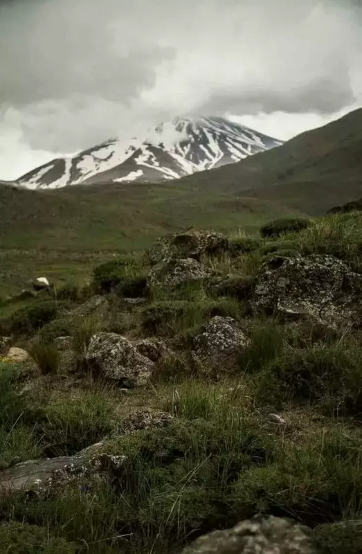 نمونه کار عکاسی زمرد انیسی