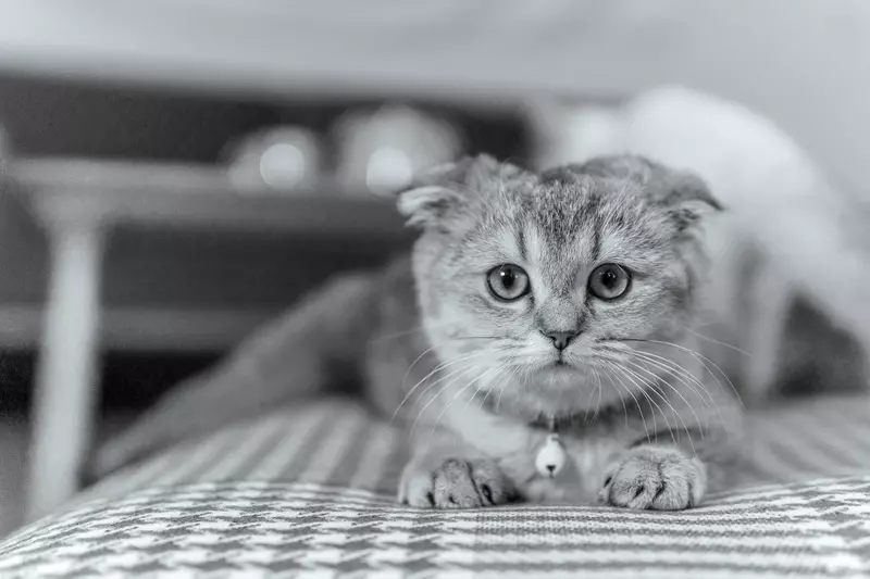 نمونه کار عکاسی مهدی میرجلیلی