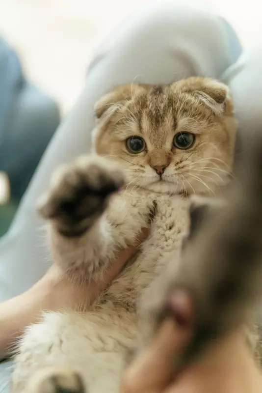 نمونه کار عکاسی مهدی میرجلیلی