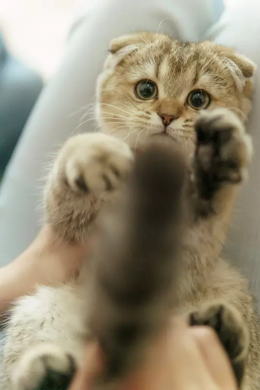 نمونه کار عکاسی مهدی میرجلیلی