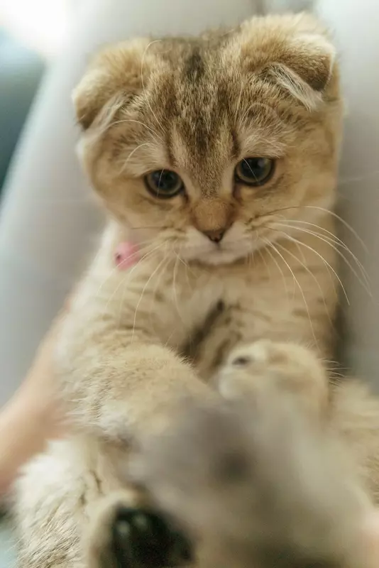 نمونه کار عکاسی مهدی میرجلیلی