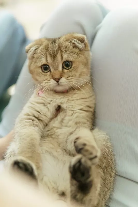 نمونه کار عکاسی مهدی میرجلیلی