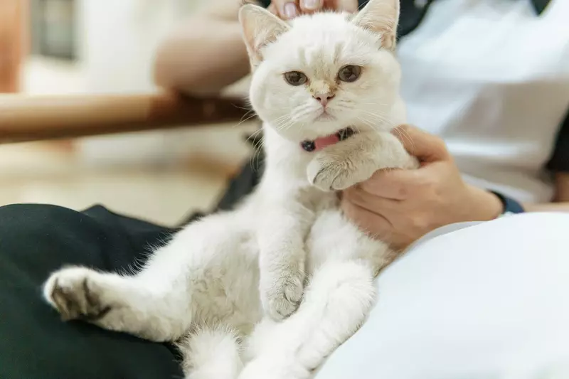 نمونه کار عکاسی مهدی میرجلیلی