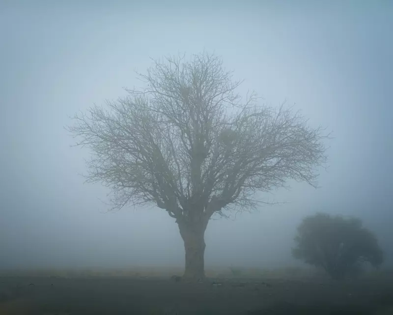 نمونه کار عکاسی مناظر توسط حسنی که در تاریخ 1403-01-26 ** یک‌شنبه  **  ساعت 08:46AM بارگذاری شده است.