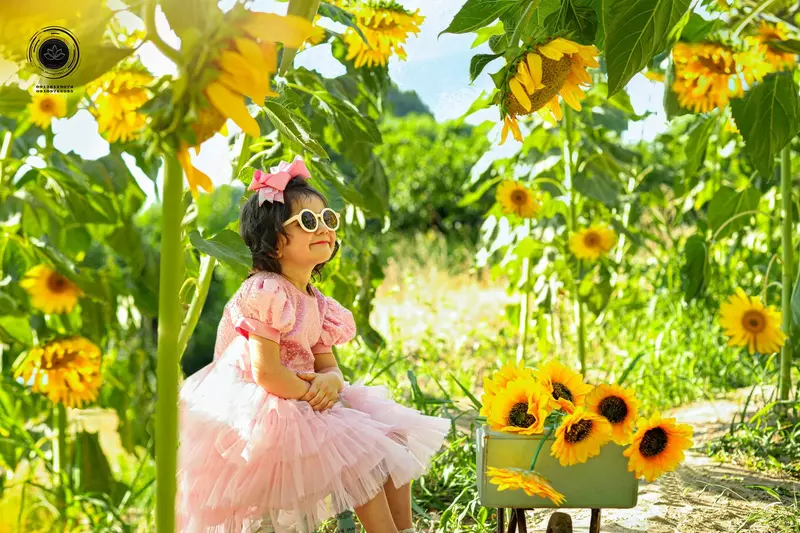 نمونه کار عکاسی نیلوفر صفرخانی