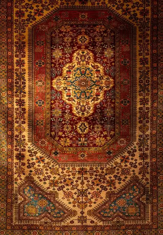 نمونه کار از حانیه ناصح