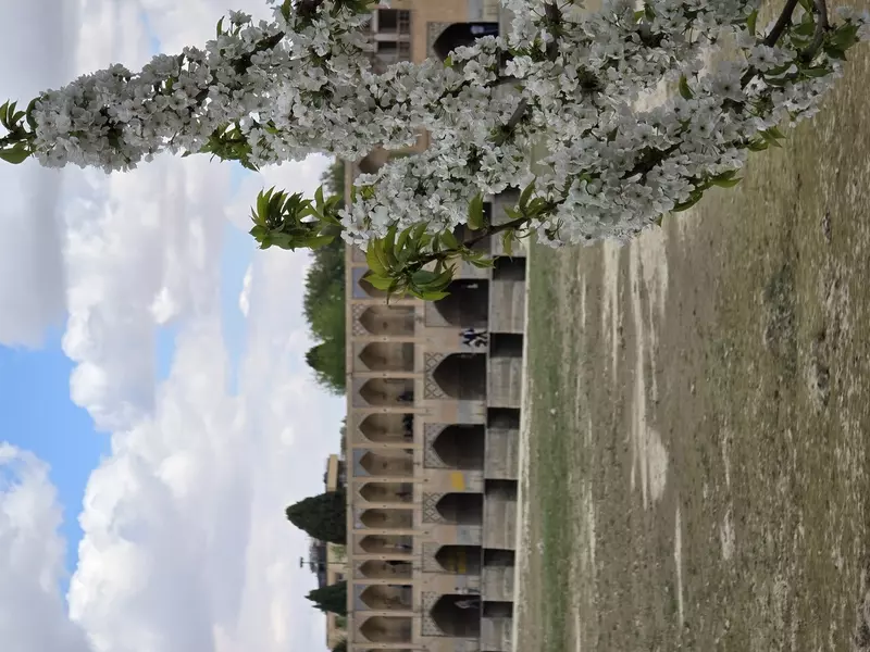 نمونه کار عکاسی حانیه ناصح