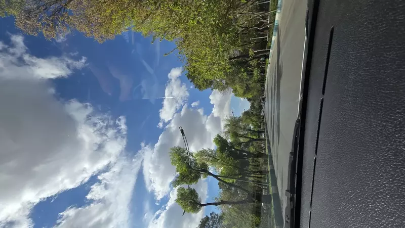 نمونه کار عکاسی حانیه ناصح