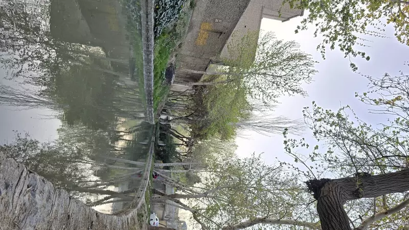 نمونه کار عکاسی حانیه ناصح