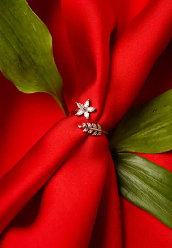 نمونه کار عکاسی مهسا  حورزاد