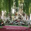 نمونه کار عکاسی عقد - بله برون - فرمالیته عروسی توسط علیاطلب، ثبت شده در 2024-05-24