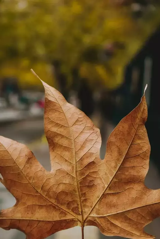 نمونه کار عکاسی محسن نظری