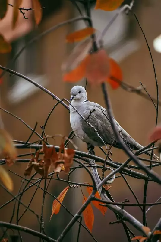 نمونه کار عکاسی محسن نظری