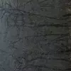 نمونه کار عکاسی مناظر توسط بیابانی، ثبت شده در 2024-07-04