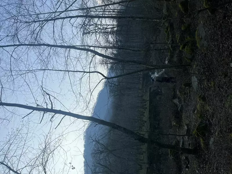 نمونه کار عکاسی مناظر توسط بیابانی که در تاریخ 1403-04-14 ** پنج‌شنبه  **  ساعت 07:03AM بارگذاری شده است.