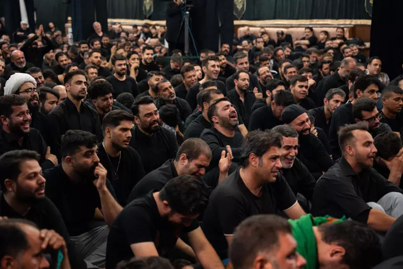 نمونه کار عکاسی محسن نظری