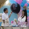 نمونه کار عکاسی جشن تعیین جنسیت توسط اصغری، ثبت شده در 2024-07-15