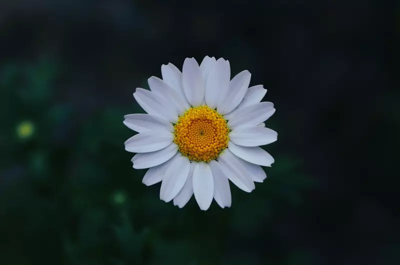 عکاسی غیره از زهرا ماهوتچی
