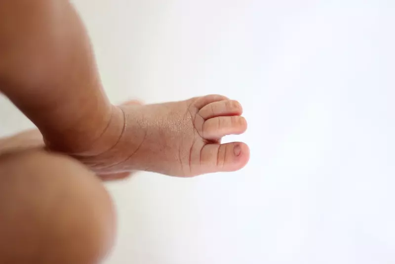 نمونه کار عکاسی زهرا سعادت فر