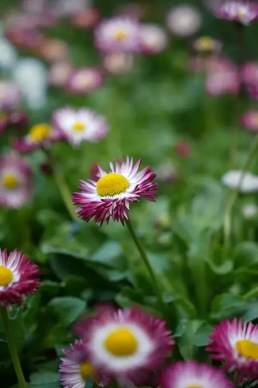 نمونه کار عکاسی مرضیه جیریایی