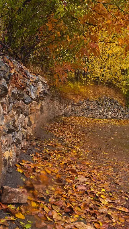 نمونه کار عکاسی مرتضی  اشرفی 