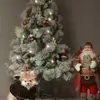 نمونه کار عکاسی حیوانات خانگی توسط شیرمحمدی، ثبت شده در 2024-12-13