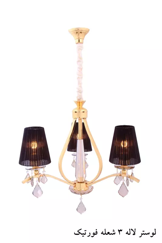 نمونه کار عکاسی محمد شهرتی