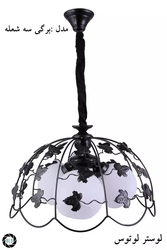 نمونه کار عکاسی محمد شهرتی