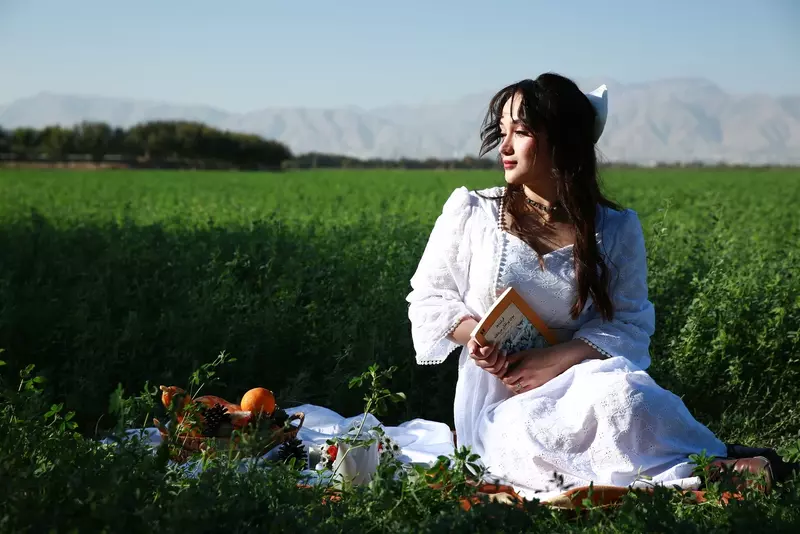 نمونه کار از مهران, بختیاری